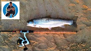 Sea Trout Fishing Ireland [upl. by Nomled]