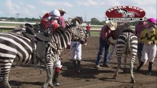 Canterbury Park Extreme Day 71517 [upl. by Yaral139]