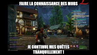 NEW WORLD EPISODE 3 JE FAIS MES QUÊTES TRANQUILLEMENT 3 [upl. by Nuahsak85]