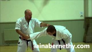 Practical Kata Bunkai Full Pinan  Heian Godan Bunkai in a Single Drill [upl. by Elleral894]