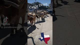 Preserve Our Heritage Cattle Drive Fort Worth Texas Stockyards [upl. by Nagaet]