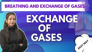 BREATHING AND EXCHANGE OF GASES EXCHANGEOFGASES  PART 5 CLASS 11 PUC 1 CLASS 10 [upl. by Ahdar]