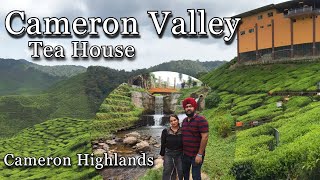 Cameron Valley Tea House  Things to Do in Cameron Highlands Malaysia [upl. by Ardnal]