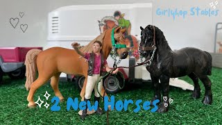 New horses at Girlyhop Stables [upl. by Suoicerpal136]