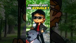 Comment voit un aveugle [upl. by Etty]