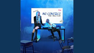 No Conozco [upl. by Nnawtna]