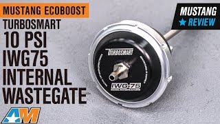 20152019 Mustang EcoBoost Turbosmart 10 PSI IWG75 Internal Wastegate Review [upl. by Jestude]