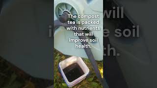 Capturing Compost Tea composttea garden growyourownfood [upl. by Graces404]