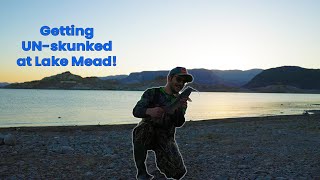 Learning how to fish lake mead Ep 1 [upl. by Ahsatak]