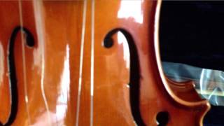 Saga Cremona Cervini HV300 Violin Unboxing amp Inspection [upl. by Sinnaoi]