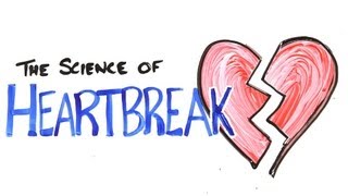 The Science of Heartbreak [upl. by Esidarap]