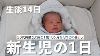 【新生児】生後２週間の赤ちゃんとの1日。24時間密着里帰りなし年子育児 [upl. by Eiznekcm]