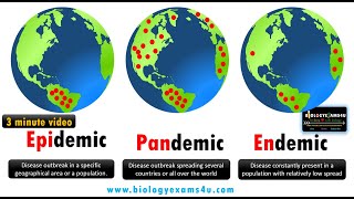 Difference between Epidemic Pandemic and Endemic Diseases with examples biologyexams4u [upl. by Nevart186]