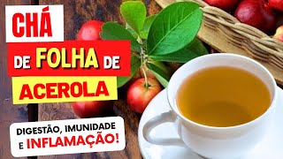 CHÁ da FOLHA DE ACEROLA para Desinflamar Imunidade Digestão  Benefícios e Como Usar [upl. by Kohn838]