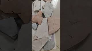 Cleaned shale stones of all three color Buy at ₹140kg cleanslate satisfying shortsviral [upl. by Raouf]