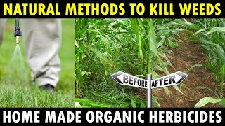 Organic Herbicides for Farming  Natural Weed Killer Weedicides  Organic Farming [upl. by Shipley852]