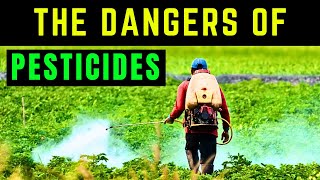 The Dangers of Pesticides Protecting Yourself and the Environment [upl. by Seniag575]