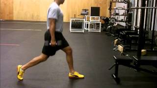 Dumbbell Split Squat [upl. by Pouncey]