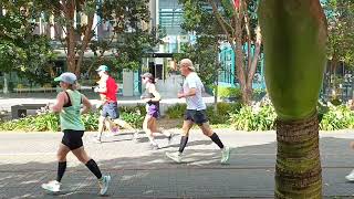 Auckland marathon 2024 half way [upl. by Dorweiler]