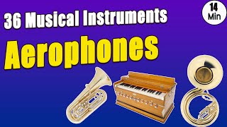 Aerophones 36 Musical Instruments with Pictures amp Video  Ethnographic Classification [upl. by Ravo]