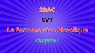 2BACSVT  CH1 Libération de lénergie emmagasinée dans la matière  La Fermentation Alcoolique [upl. by Higginbotham]