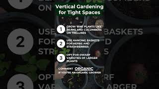 Vertical Gardening for Tight Spaces [upl. by Navlys]