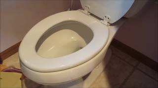 DIY 101 How To Remove amp Replace a Toilet Seat [upl. by Eloc43]