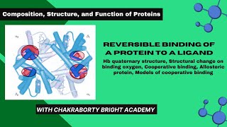 Reversible Binding of a Protein to a Ligand II Structural Change in Hemoglobin on Oxygen Binding [upl. by Ddal]