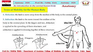 Anatomical Terms For Movements [upl. by Dielu142]