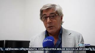 Autonomia differenziata Confindustria Molise boccia la riforma [upl. by Ydroj]