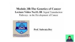 Signal transduction pathways in the development of cancer [upl. by Halyak]