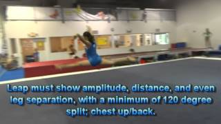 USAG Level 4 Floor Exercise Tutorial New Routines 20132021 [upl. by Ayit447]