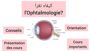 Conseils et orientations Module dophtalmologie  6 ème année Médecine [upl. by Derej47]