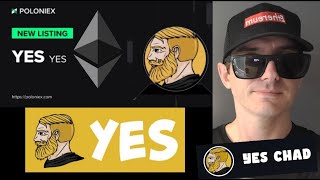 YES  THE YES TOKEN CRYPTO COIN HOW TO BUY MFTS MFT CHAD POLONIEX ETH ETHETEUM UNISWAP MEME YESCHAD [upl. by Atinuaj809]