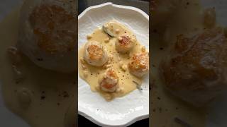 scallops food cooking [upl. by Enelhtak]