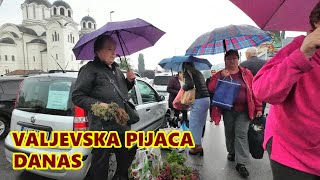 Valjevska pijaca kišovit dan CENE  paradajz do 450 paprike 200 krompir 80FotoVoja [upl. by Chu]