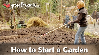 How to Start a Garden [upl. by Rednirah951]