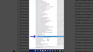 How to Disable Windows 11 Update [upl. by June]