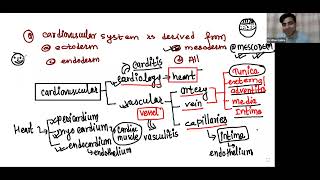 Cardiovascular system lacture 1 by Dr millan sirname institute viral foryoupage study mbbs [upl. by Swithbert]