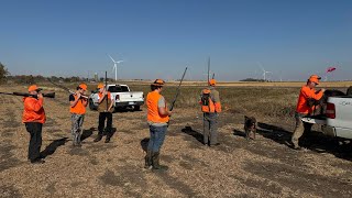 2024 Pheasant Hunting With Family and Friends Birds Flushing Early Already [upl. by Gunthar100]