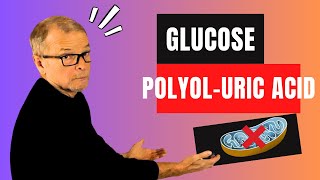 Glucose Opens PolyolFructoseUric Acid Pathway [upl. by Marne]