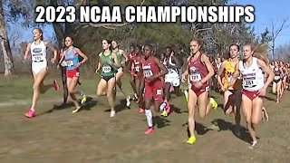 The 2023 NCAA Cross Country Championships Were Incredible [upl. by Treboh749]