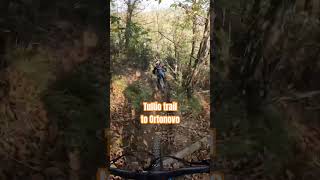 Tullio trail to Ortonovo ebike mtb enduro dh tulliotrail ortonovo [upl. by Doloritas]