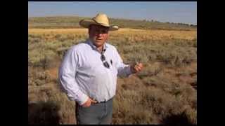 Jared Brackett  Ranching in a Fish Bowl in Idaho [upl. by Tildi]