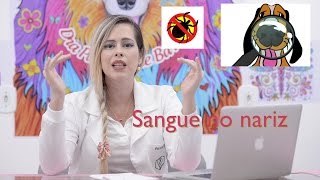 SANGUE PELO NARIZ DO SEU CÃO O QUE PODE SER  O QUE FAZER [upl. by Glaudia]