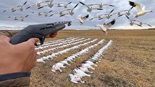 Our Record Breaking 267 Bird Goose Hunt WE WENT DEMON MODE [upl. by Keppel]