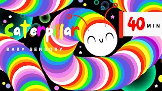 Colorful Caterpillar With Bubbles Sensory Videos for Babies Hight Contrast Eye Tracking  Fun Music [upl. by Winograd172]