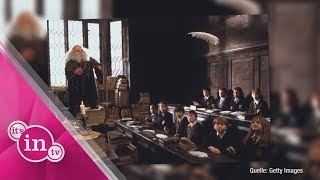 Die Namen in Harry Potter DAS bedeuten sie wirklich – Die Lehrer in Hogwarts [upl. by Orlantha]