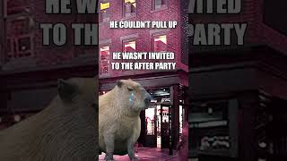 Capybara Meme Compilation capybara meme compilation [upl. by Sallee909]