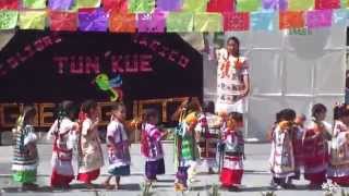 MiniGuelaguetza2014 Guarderias IMSS Oaxaca  Baile Flor de Piña [upl. by Attegroeg]